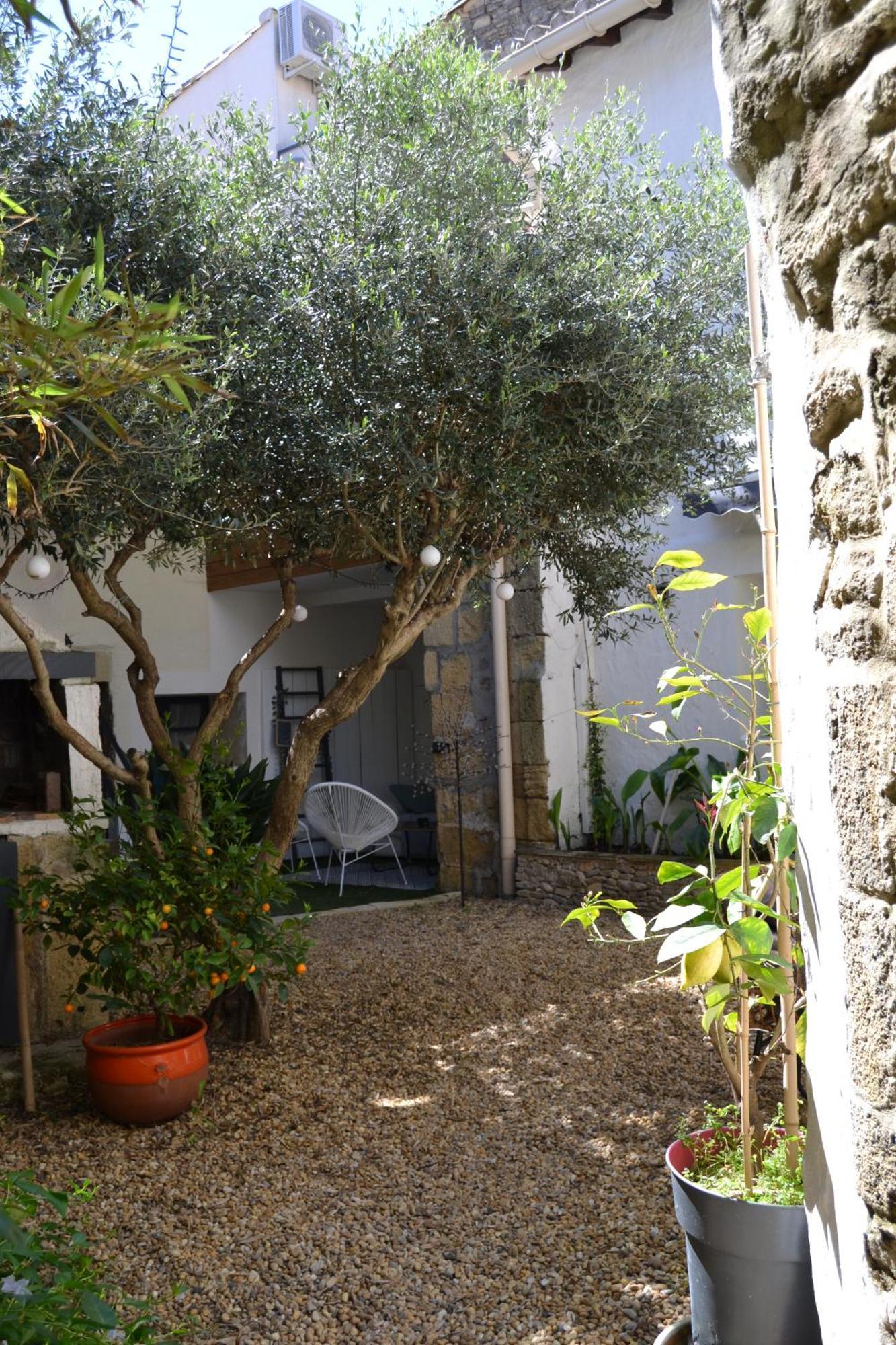 Bed and Breakfast La Cachette Aigues-Vives  Exteriér fotografie